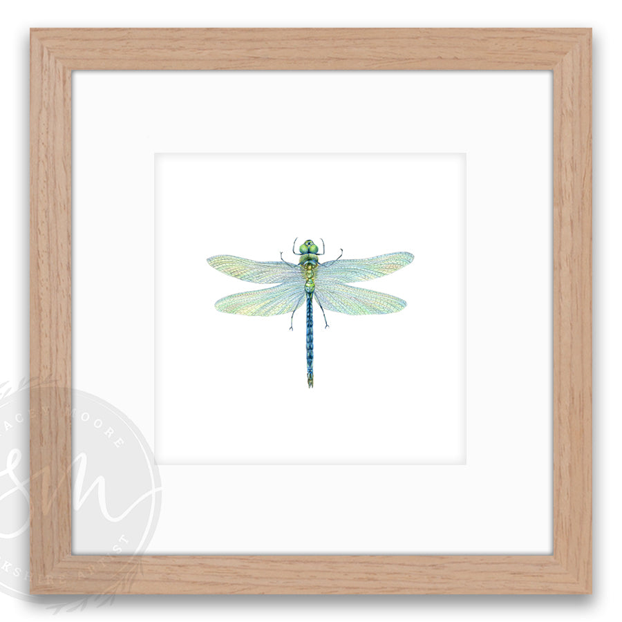 Dragonfly