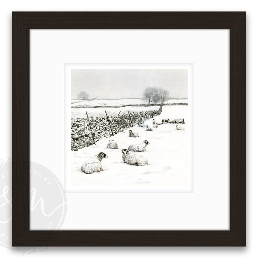 Snow in The Dales