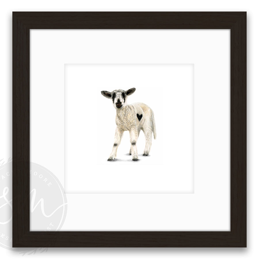Love Ewe