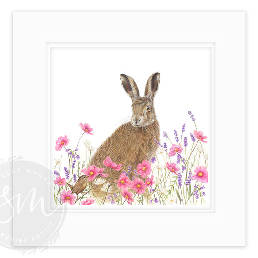 Lavender Hare