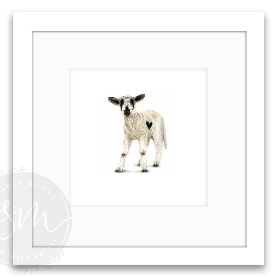 Love Ewe