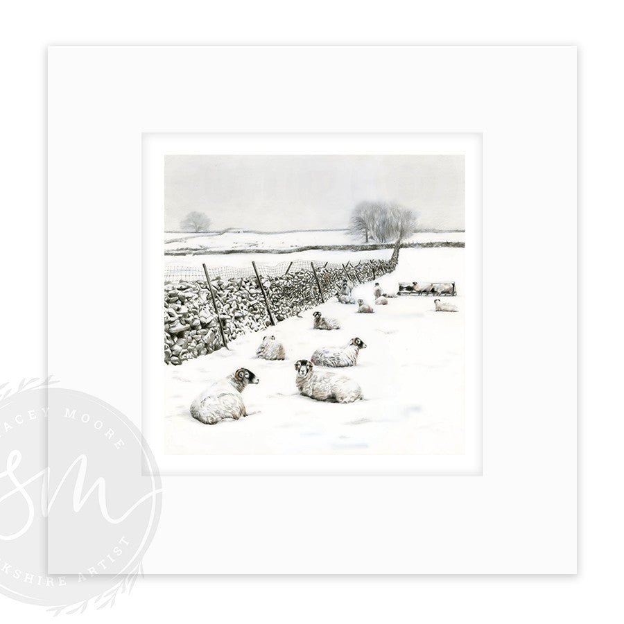Snow in The Dales