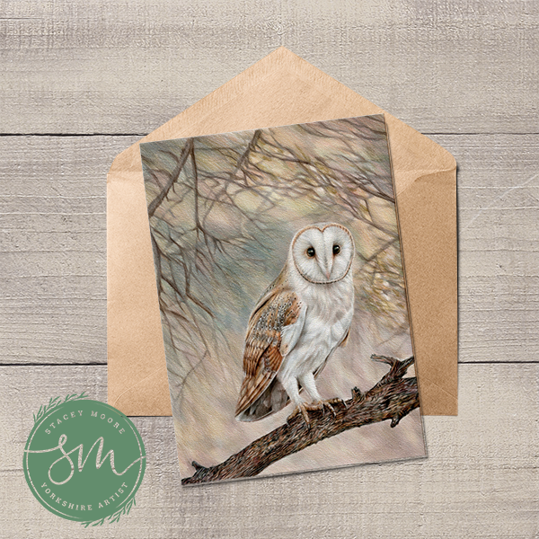 Barn Owl Greetings Card
