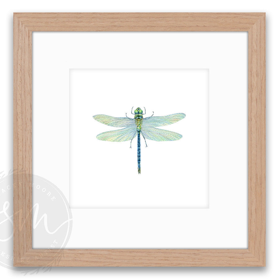 Dragonfly