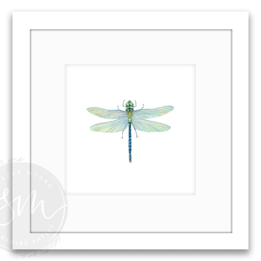 Dragonfly