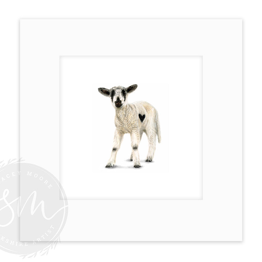 Love Ewe