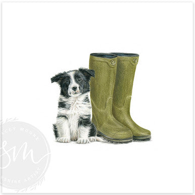 Little Paws, Big Adventures Original