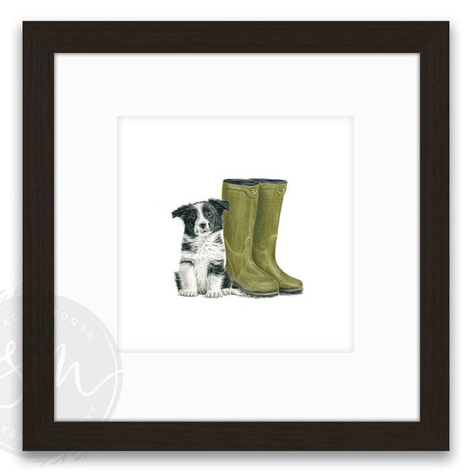 Little Paws, Big Adventures