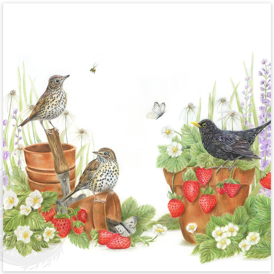 The Strawberry Garden