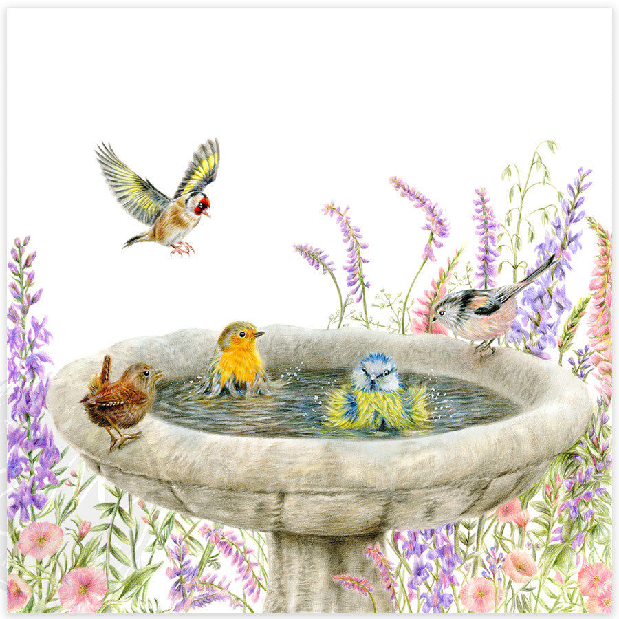 The Secret Garden
