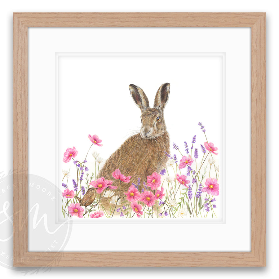 Lavender Hare