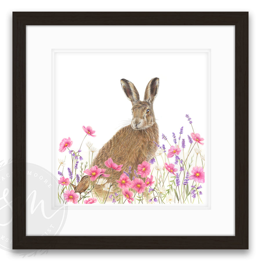 Lavender Hare