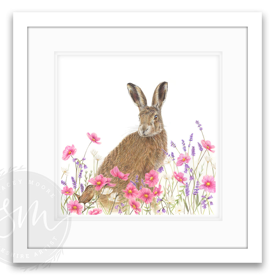 Lavender Hare