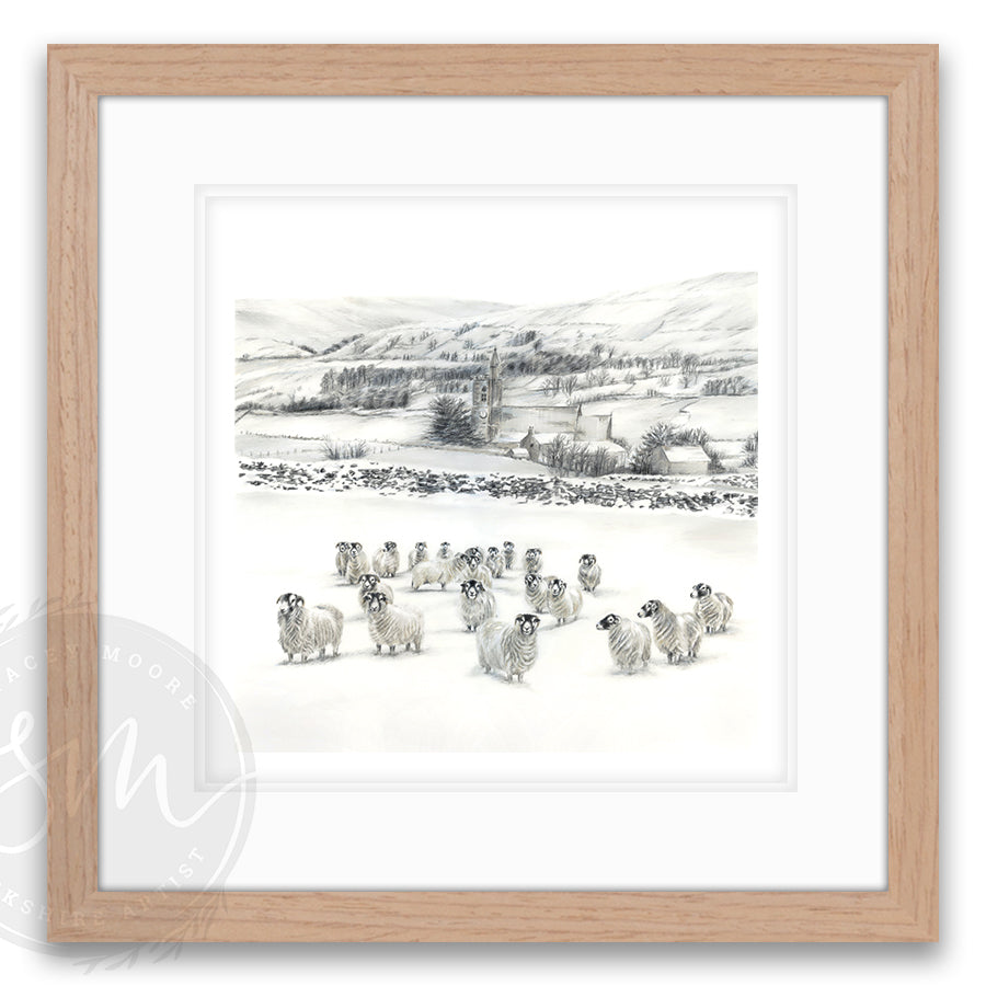 Sheep in Snow