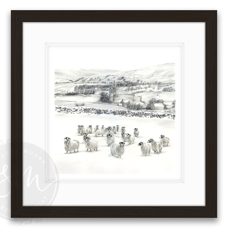 Sheep in Snow