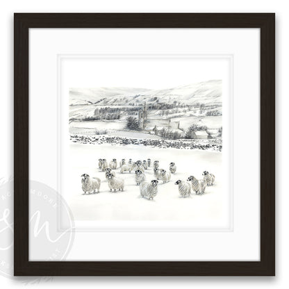 Sheep in Snow