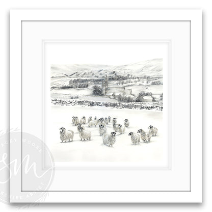 Sheep in Snow