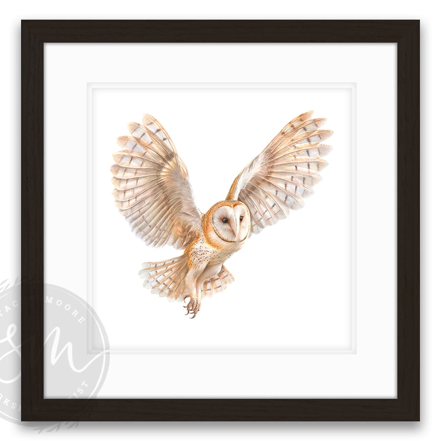 Night Owl | Original Artwork