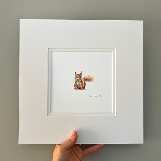 Acorn (Mini Original Drawing)