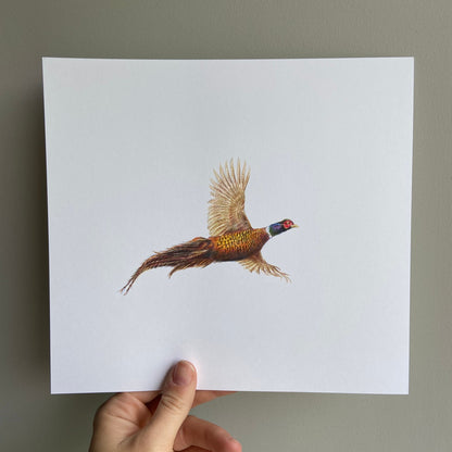 Flying pheasant (Mini Original Drawing)