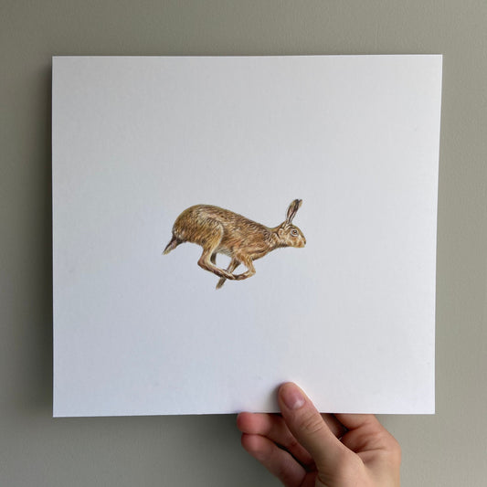 Running Hare (Mini Original Drawing)