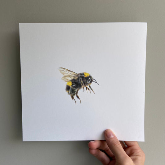Bee II (Mini Original Drawing)