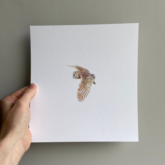 Barn Owl (Mini Original Drawing)