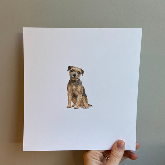 Border Terrier (Mini Original Drawing)
