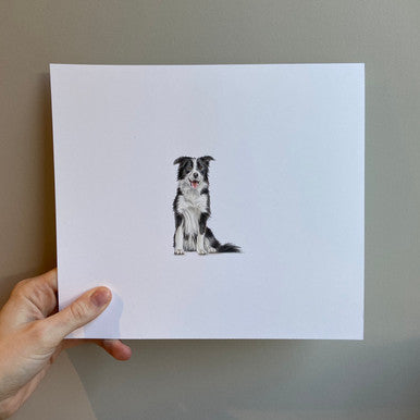Border Collie (Mini Original Drawing)
