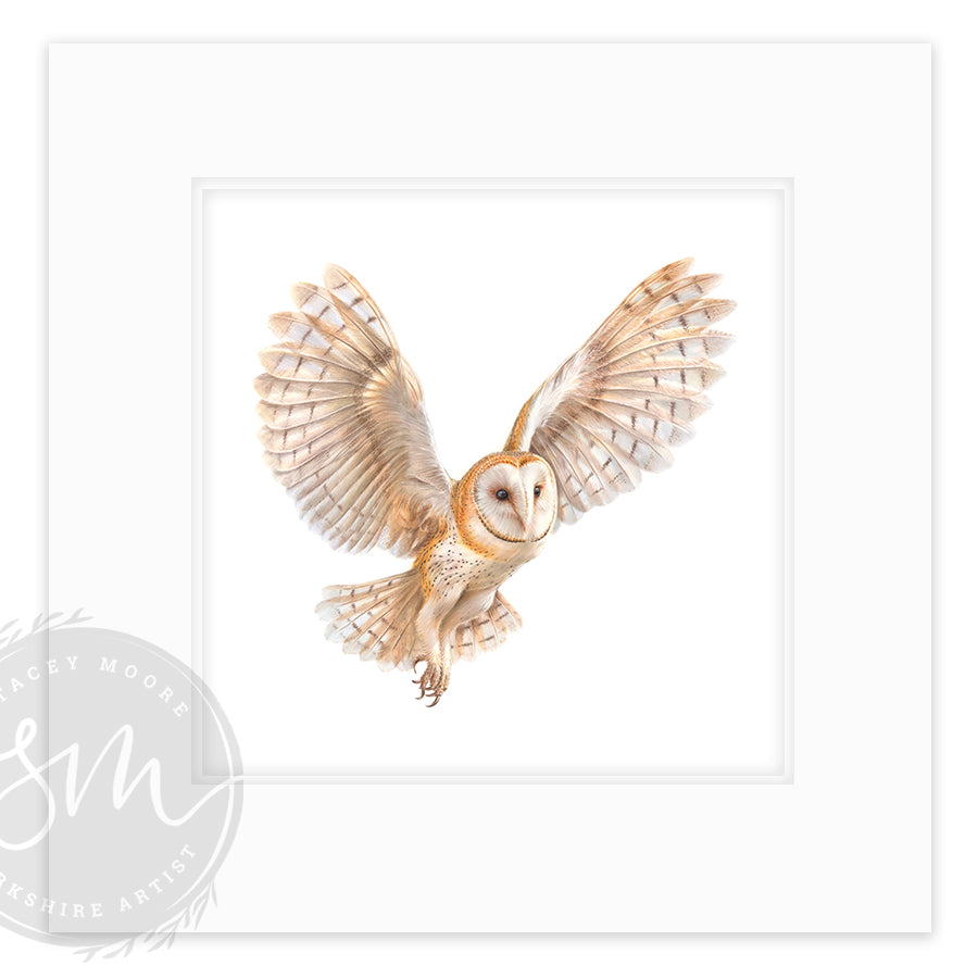 Night Owl