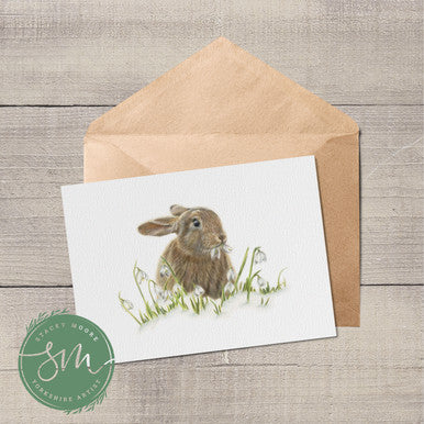 Bunny and Snowdrops Greetings Card