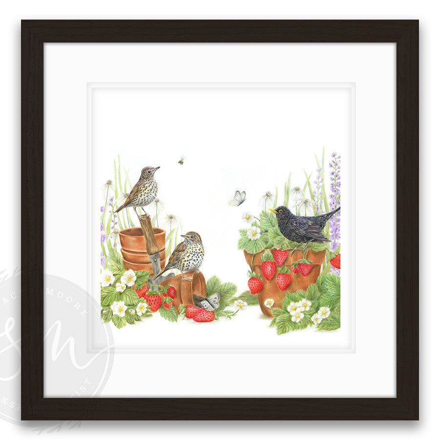 The Strawberry Garden
