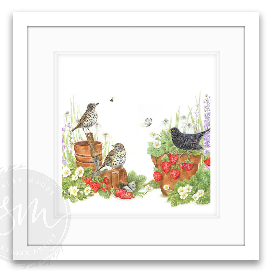 The Strawberry Garden