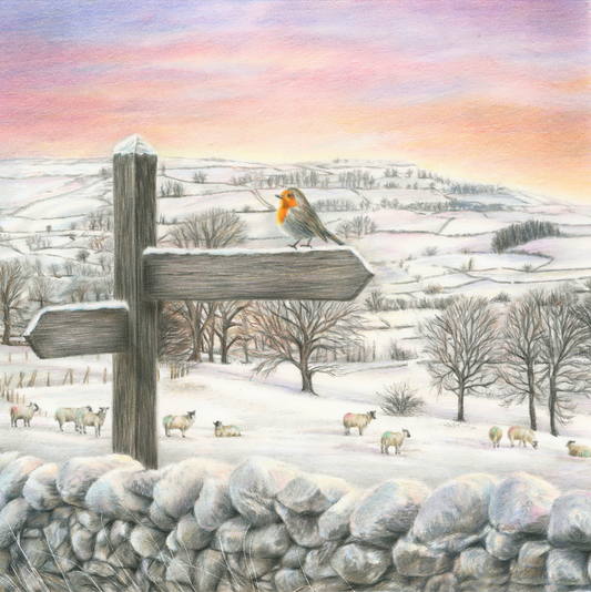 Where we Belong - Original Drawing