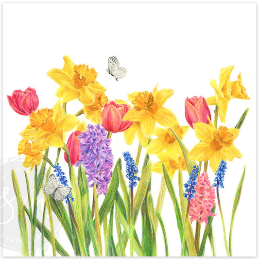 Spring Time