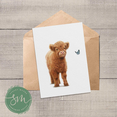 Highland Calf Greetings Card