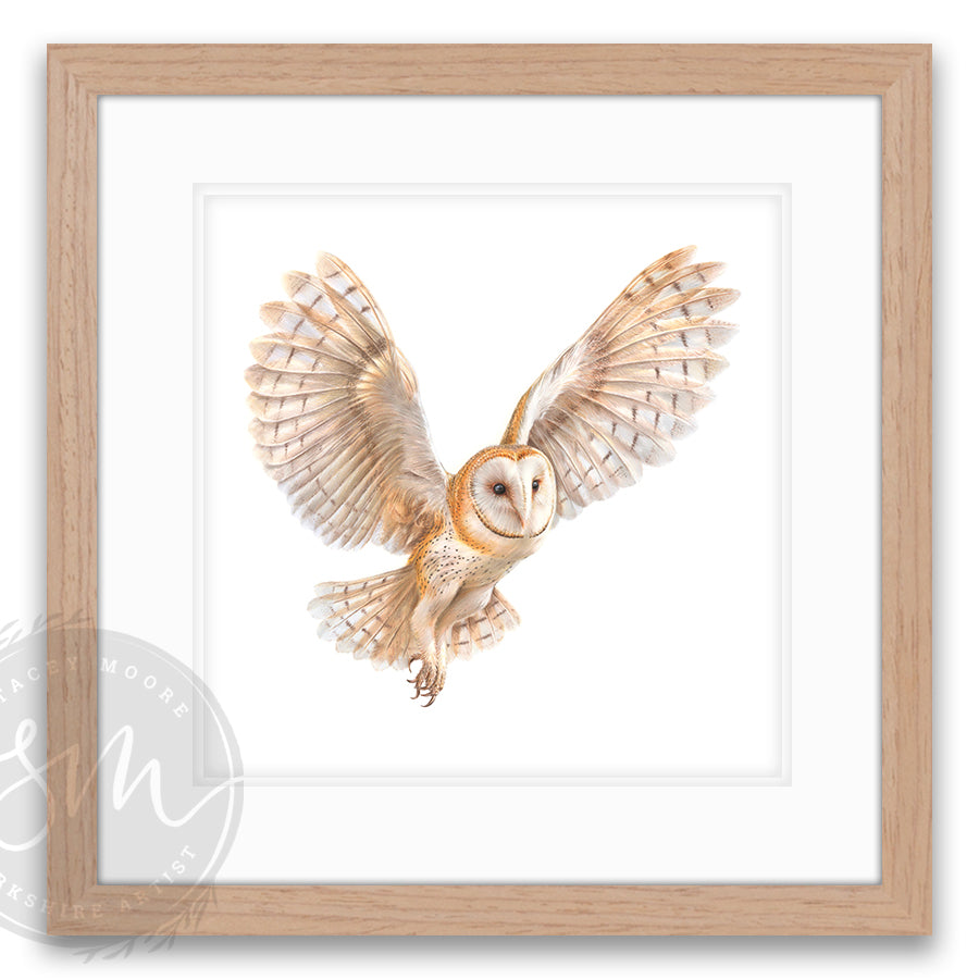 Night Owl | Original Artwork