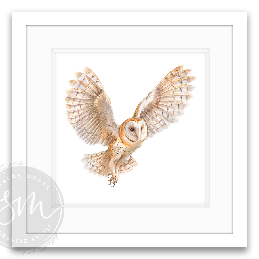 Night Owl | Original Artwork