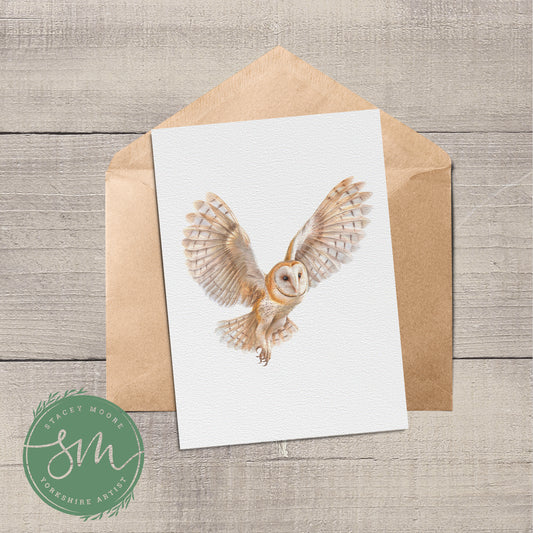 Night owl Greetings Card