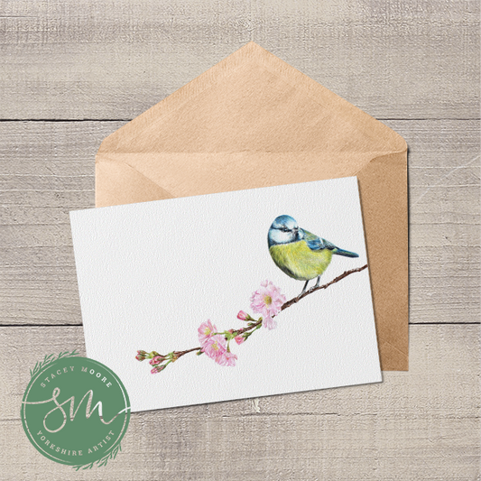 Blue Tit Greetings Card