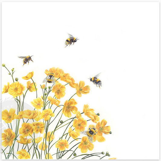 Buttercup