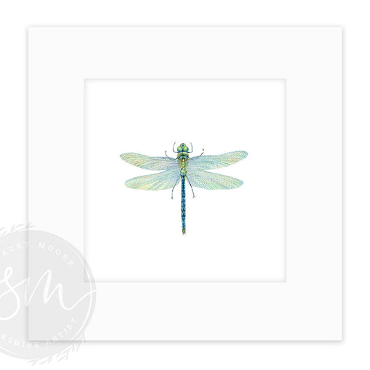 Dragonfly