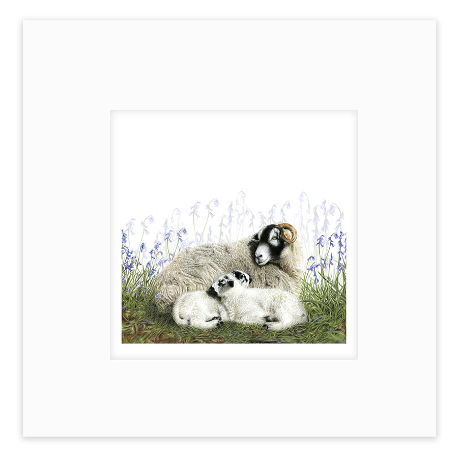 Always Yorkshire - (with free family love print)