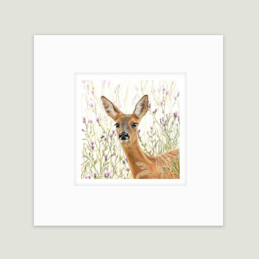 Fawn & Thistles