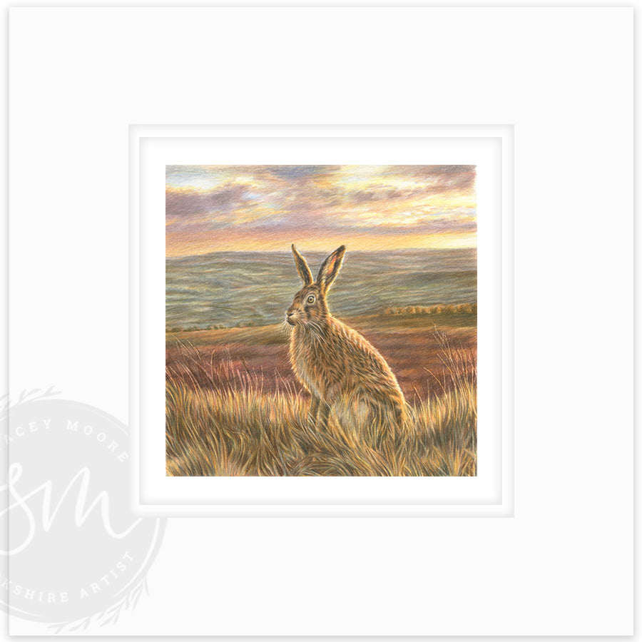 Golden hour - Small Original Drawing & Limited Edition Print /25