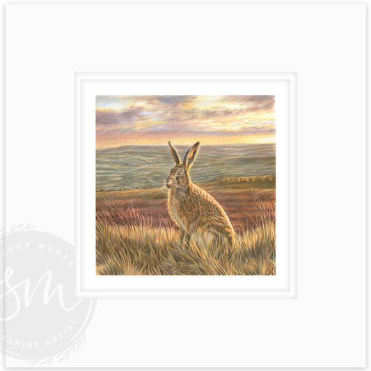 Golden hour - Small Original Drawing & Limited Edition Print /25