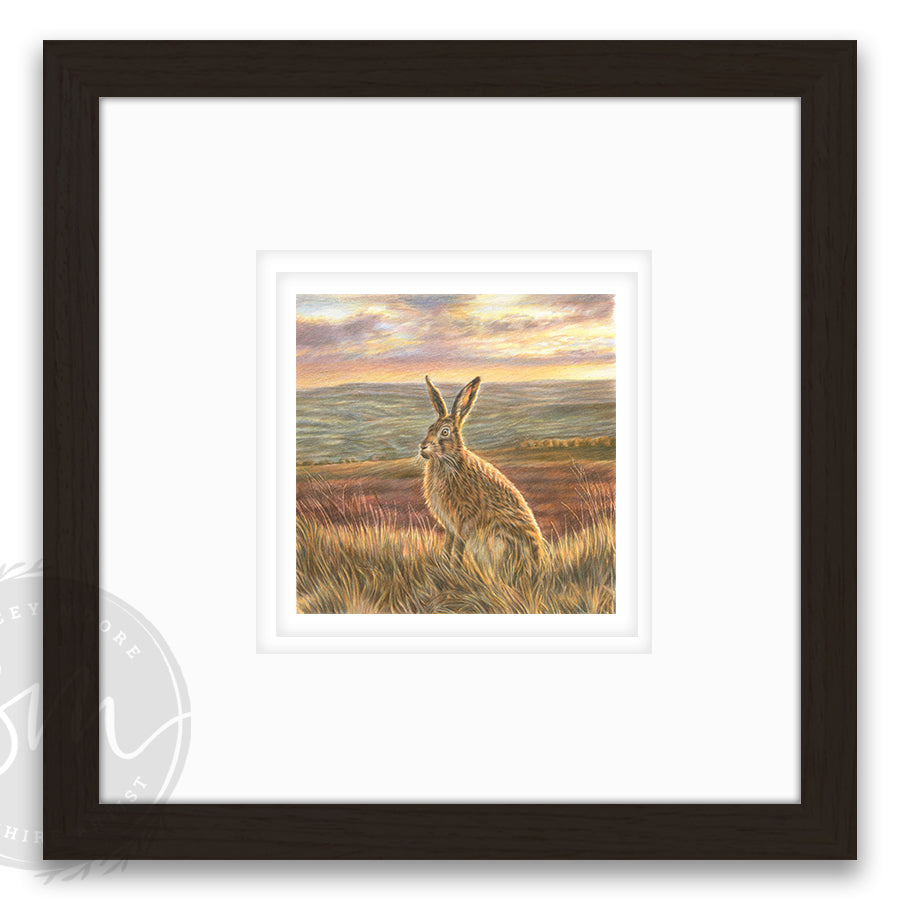Golden hour - Small Original Drawing & Limited Edition Print /25