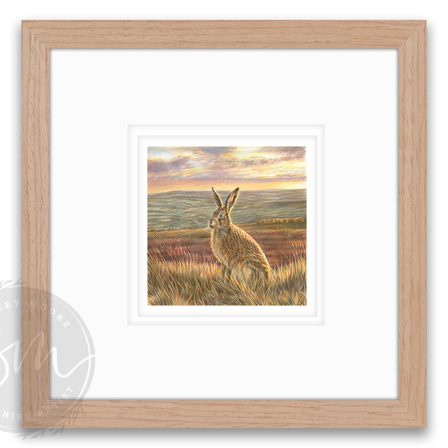 Golden hour - Small Original Drawing & Limited Edition Print /25