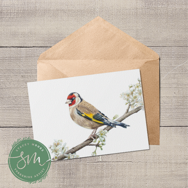 Goldfinch Greetings Card