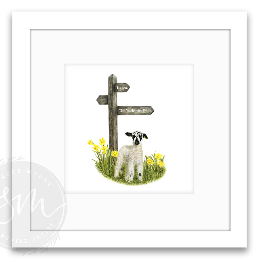 Spring Lamb